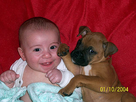 a baby and a boxer puppy